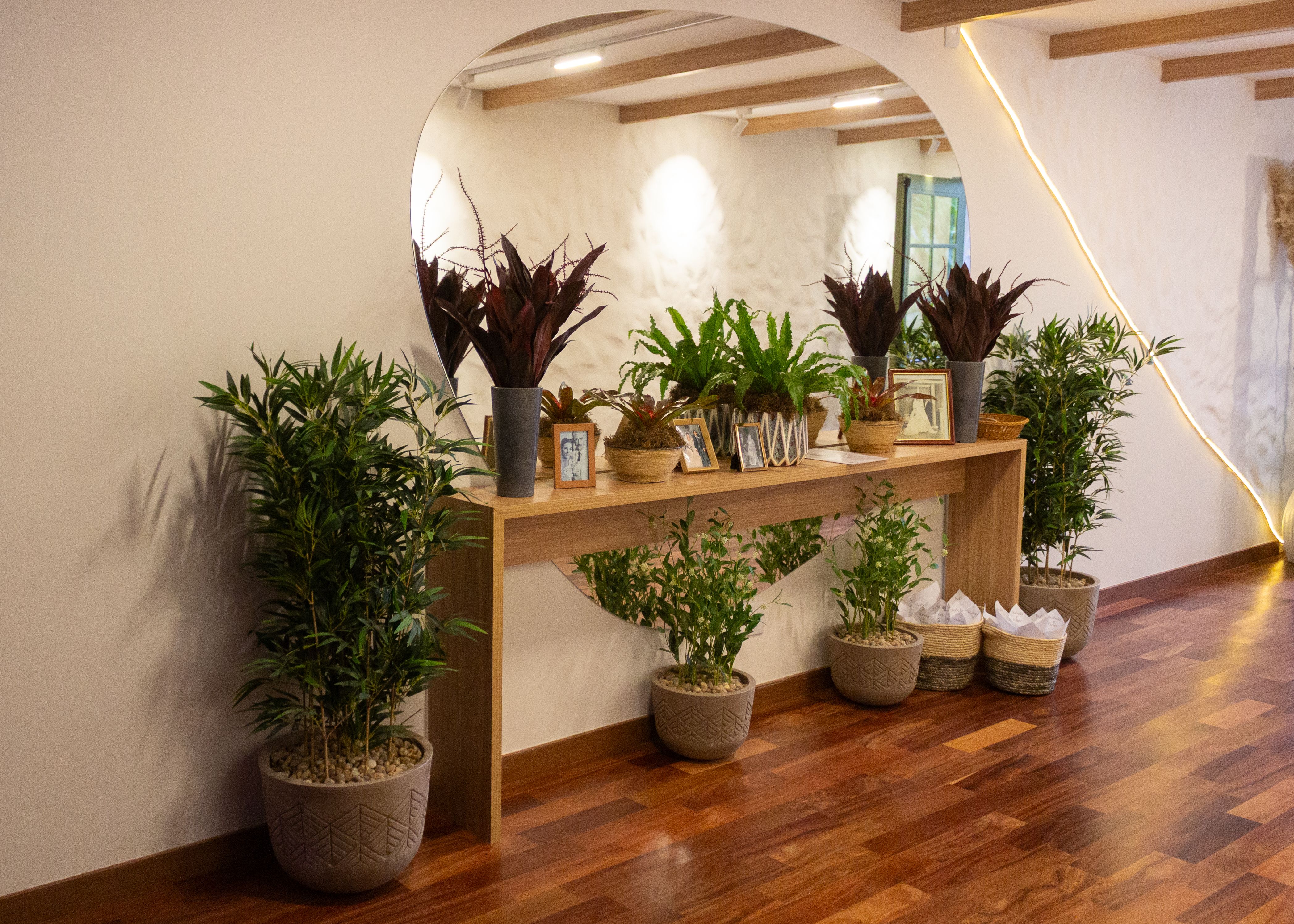 Bolvormige planten verlevendigen moderne woonkamer.