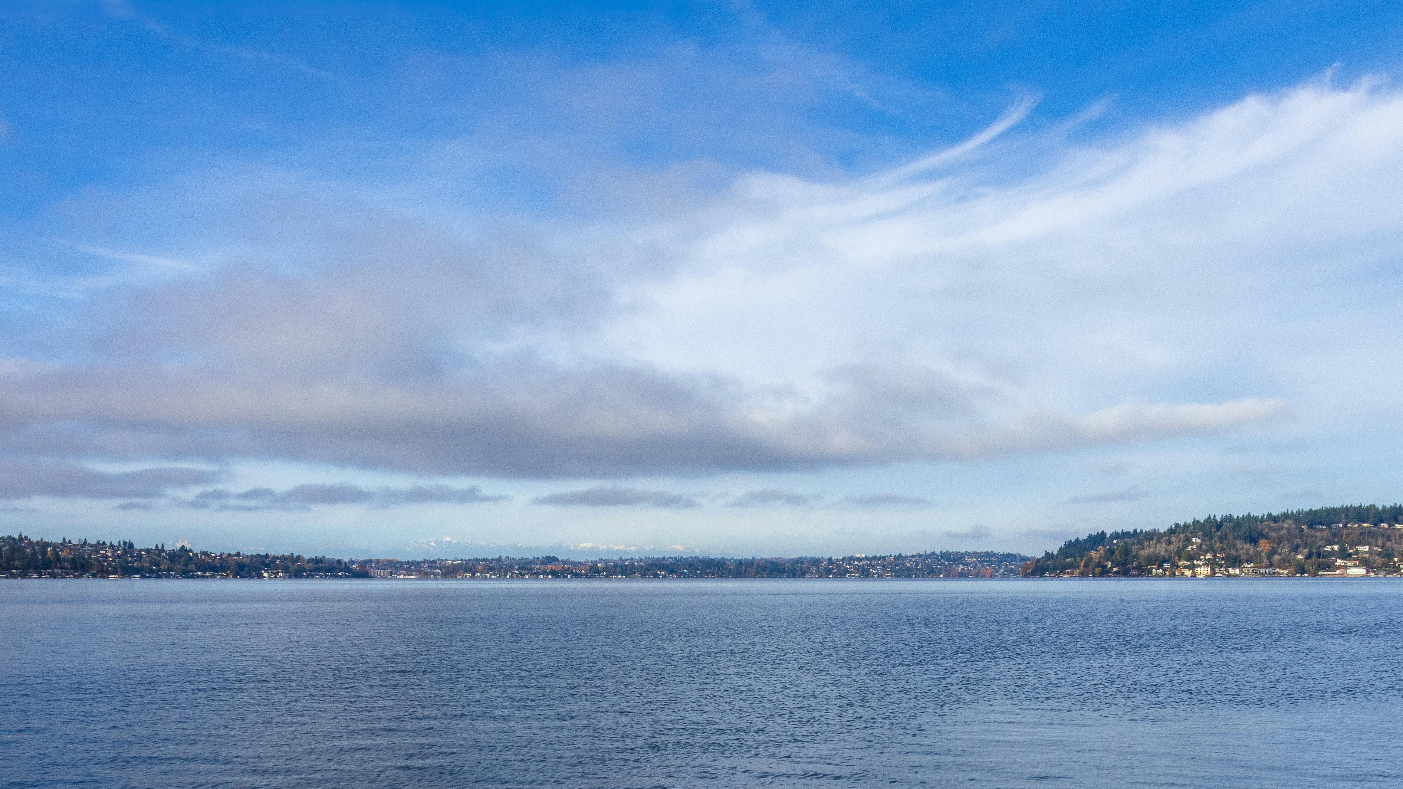 bactérie mangeuse pfas