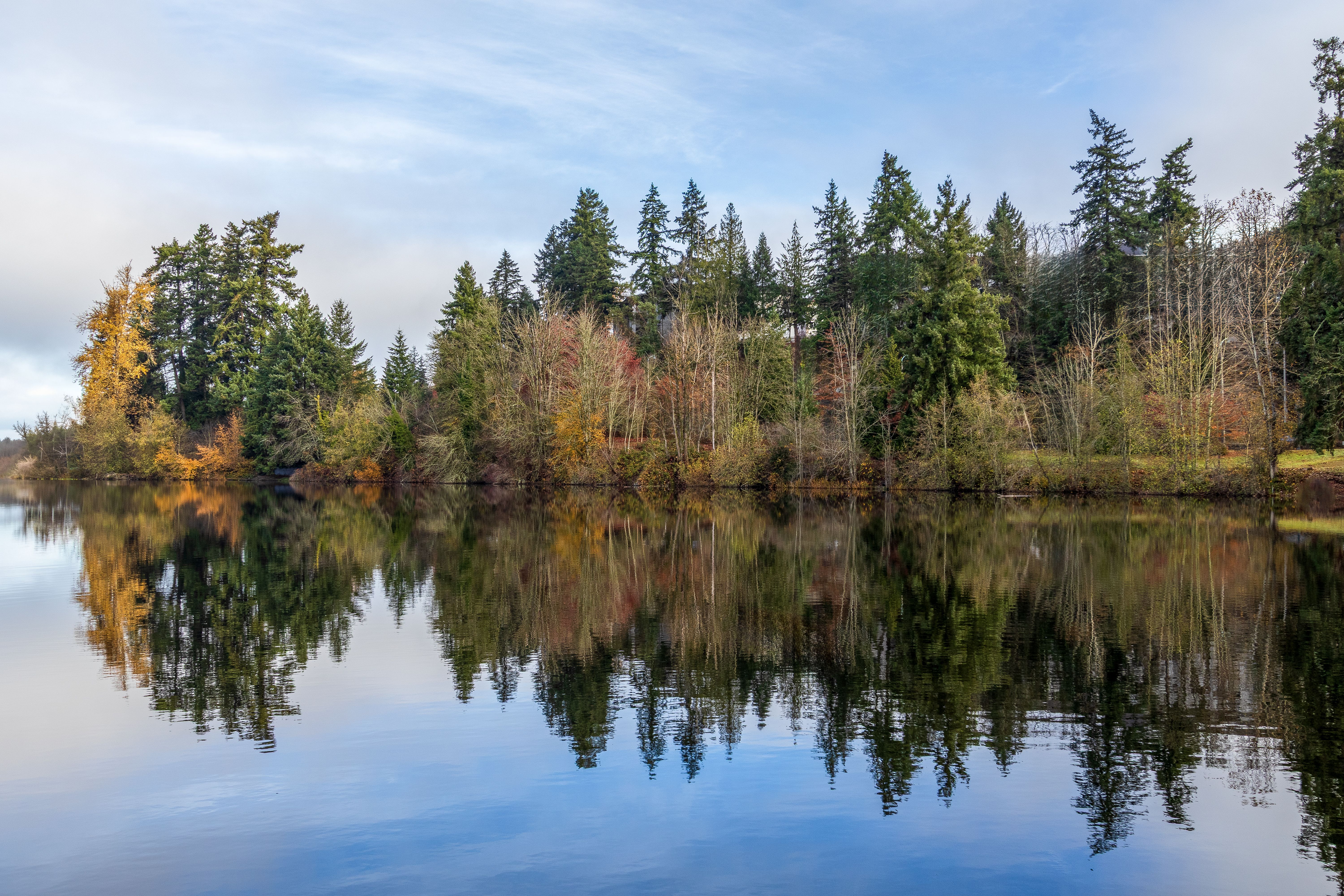Serene Autumn Forest Reflection on Calm Lake · Free Stock Photo