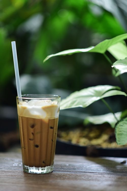 Free Refreshing iced coffee in a glass with cream, set against lush green plants. Stock Photo