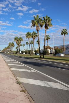 View of a palm-lined avenue in El Puerto de Santa María, showcasing clear skies and a tranquil urban scene.