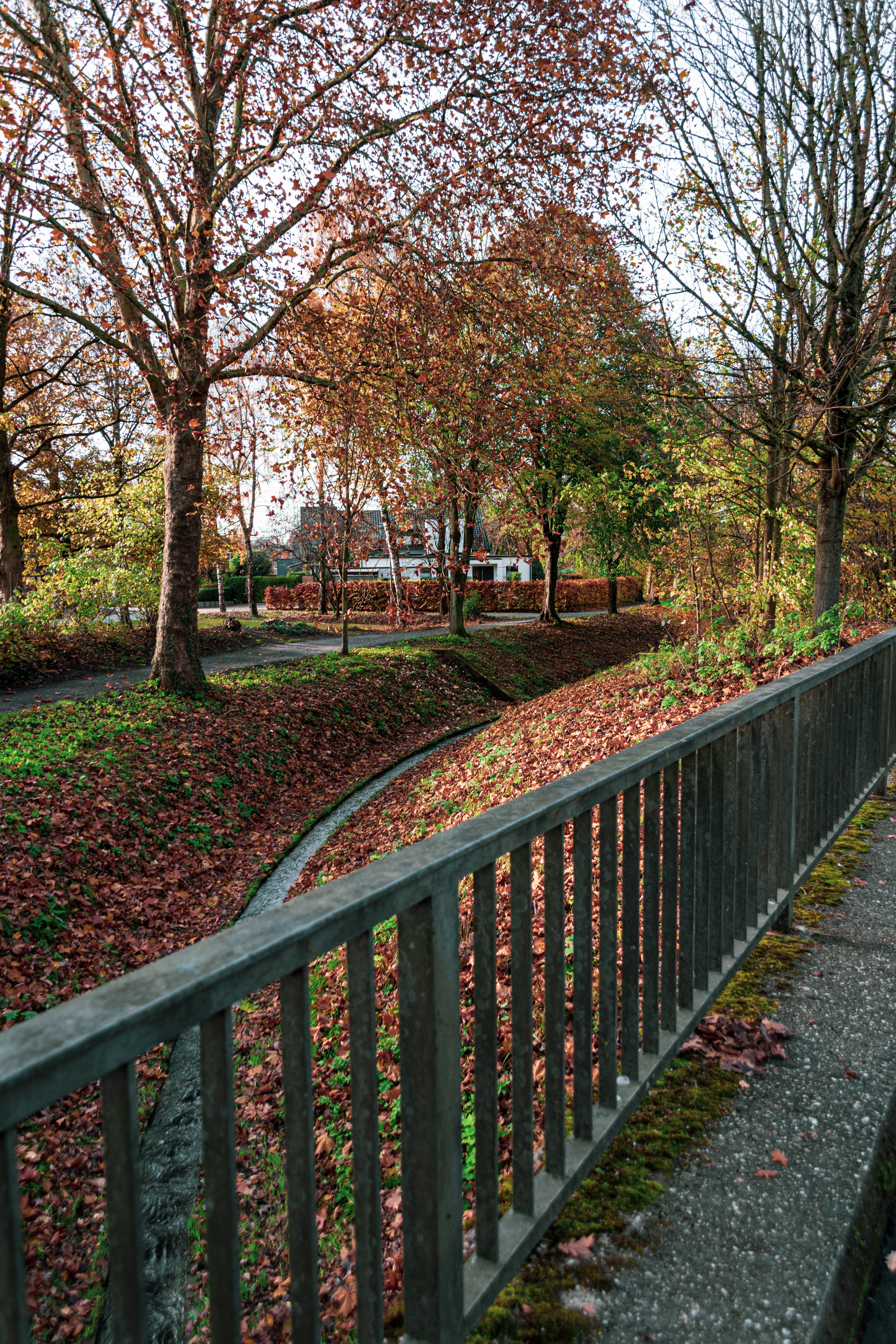 Scenic Fall Park Pathway with Wooden Rail · Free Stock Photo