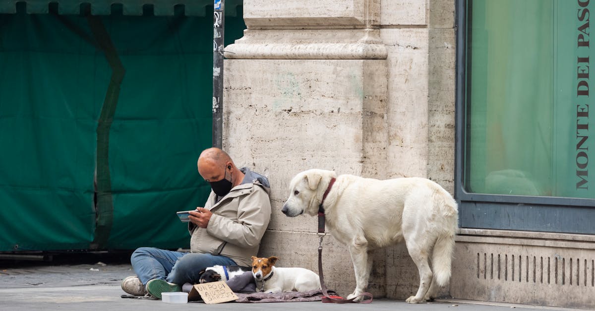 財經:西部水泥發行4億美元優先票據 強化資本結構