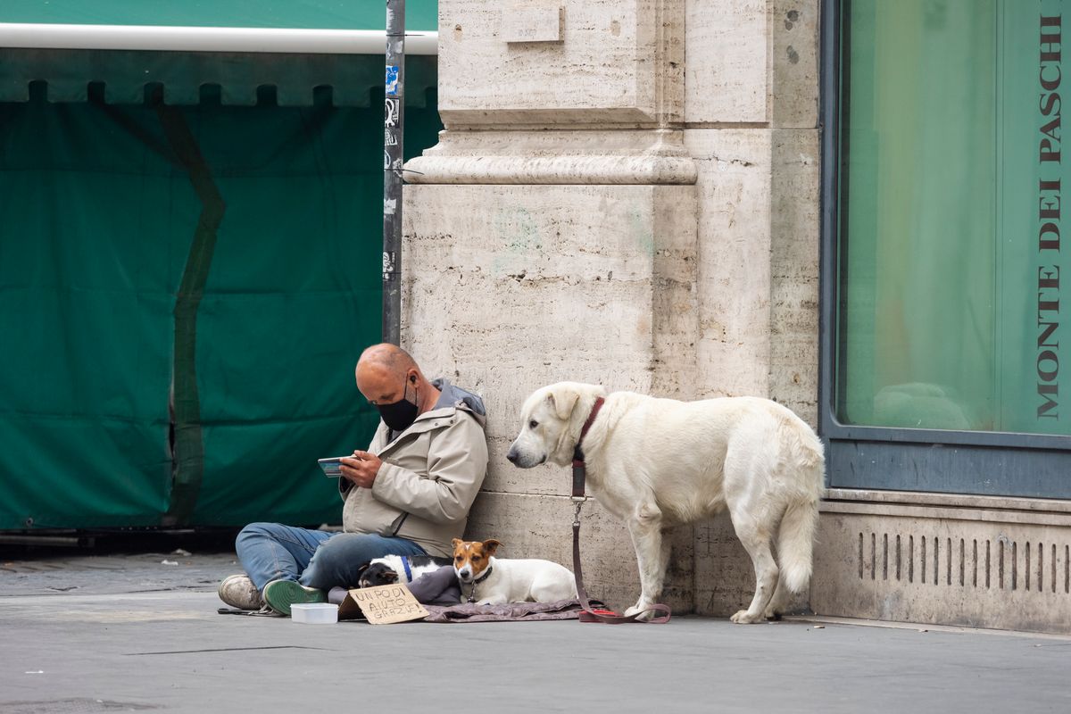 pourquoi les sdf ont des chiens - Comment les SDF prennent soin de leurs chiens : astuces et solidarité