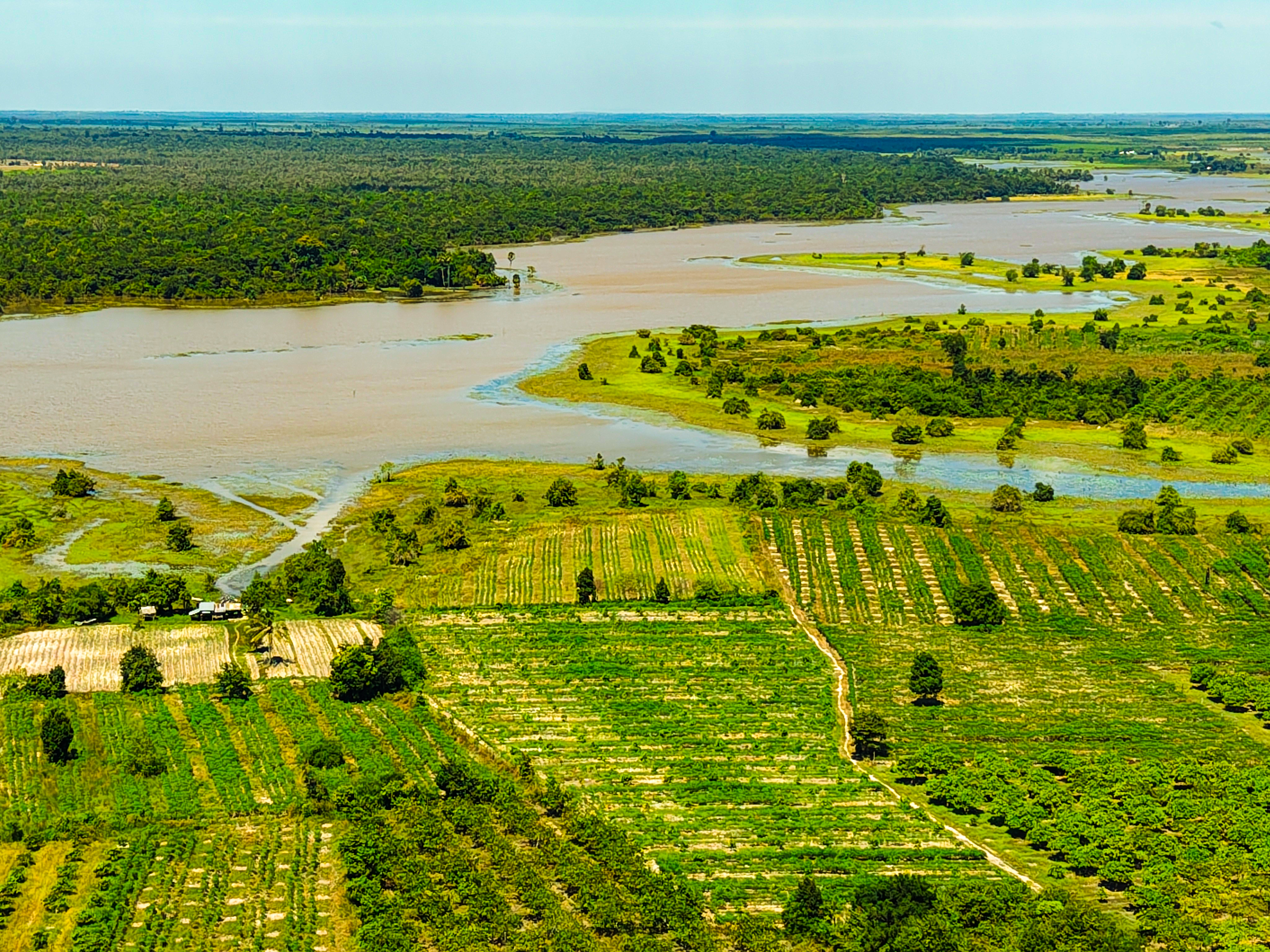 climate resilience — Photo by Sambok pen on Pexels
