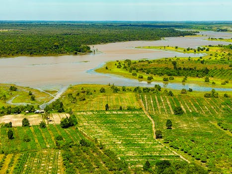 Aerial photograph showcasing lush rice fields and a winding river in Cambodia.