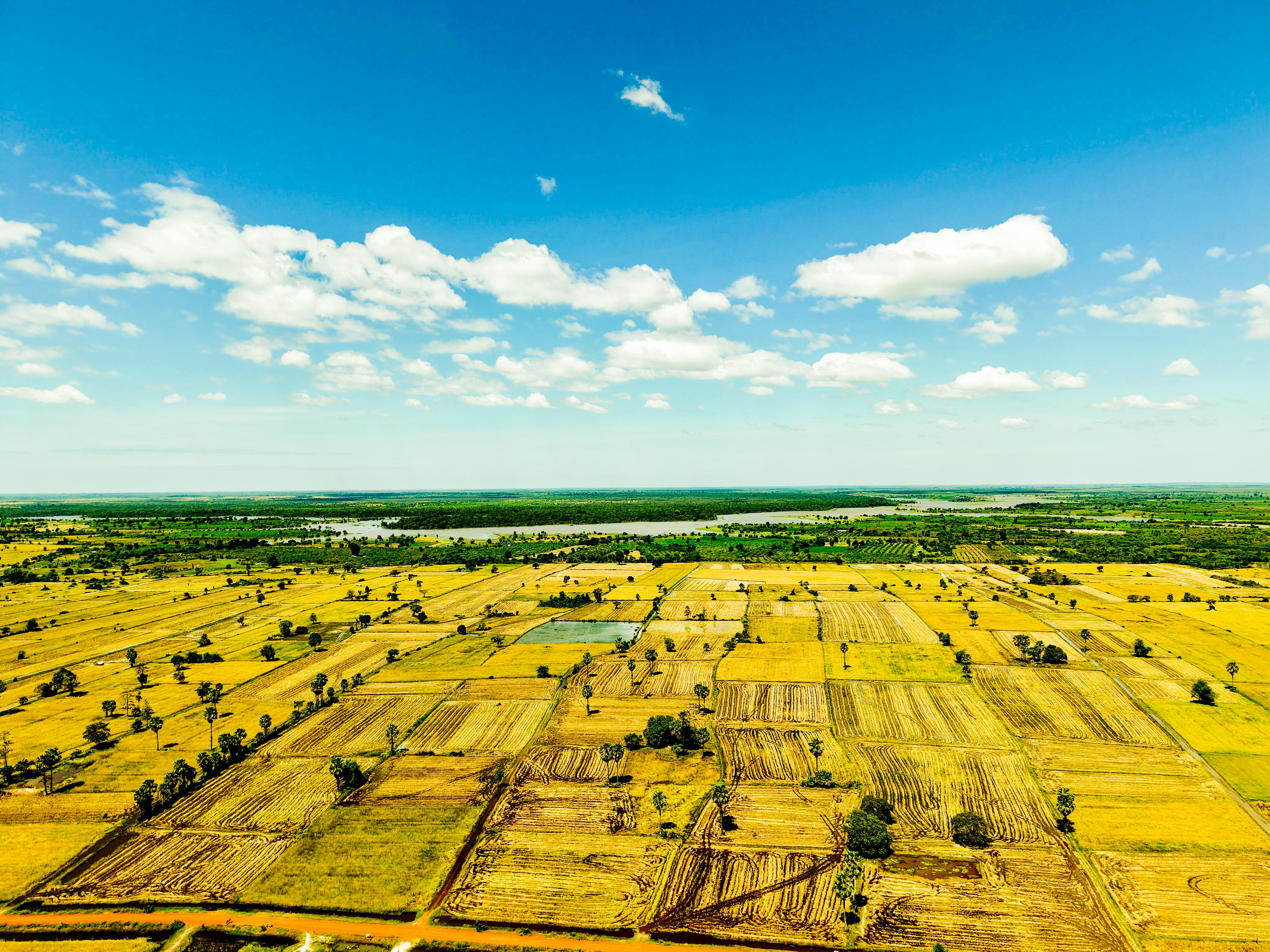 財經青紅燈：美食-KY業績表現亮眼獲投資人肯定