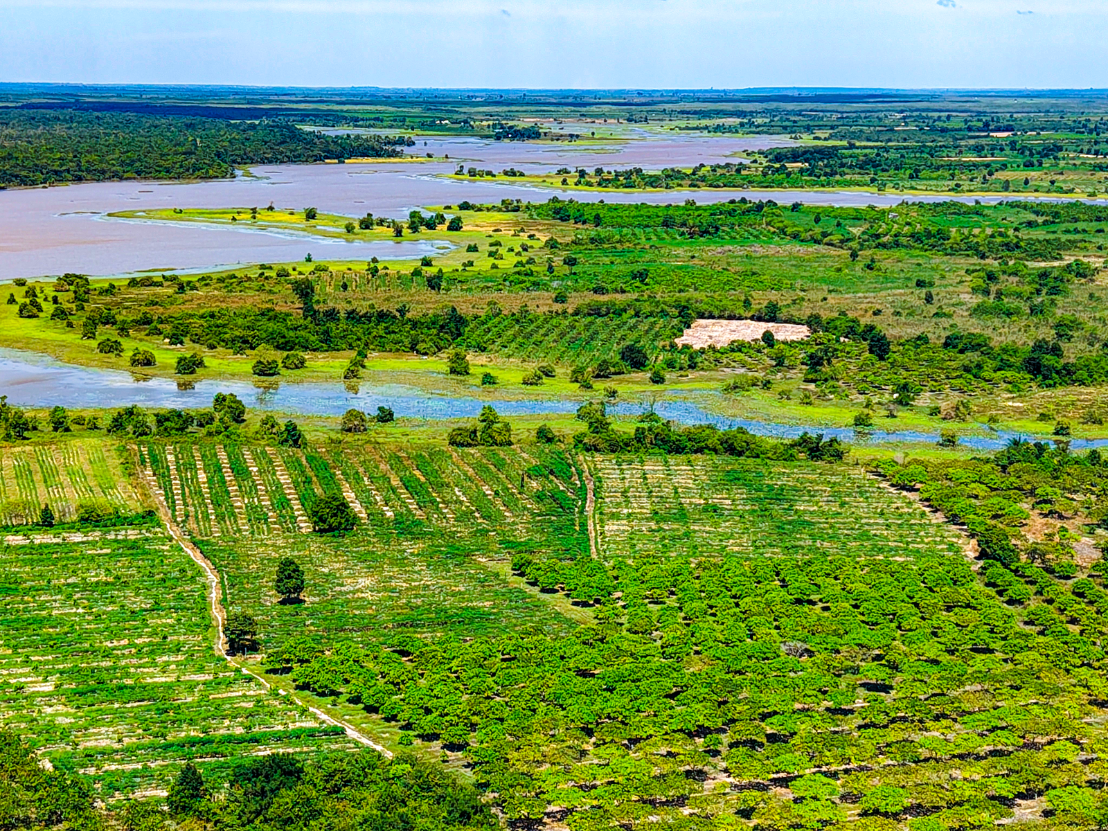 Aerial View of Flooded Landscape with Lush Greenery · Free Stock Photo