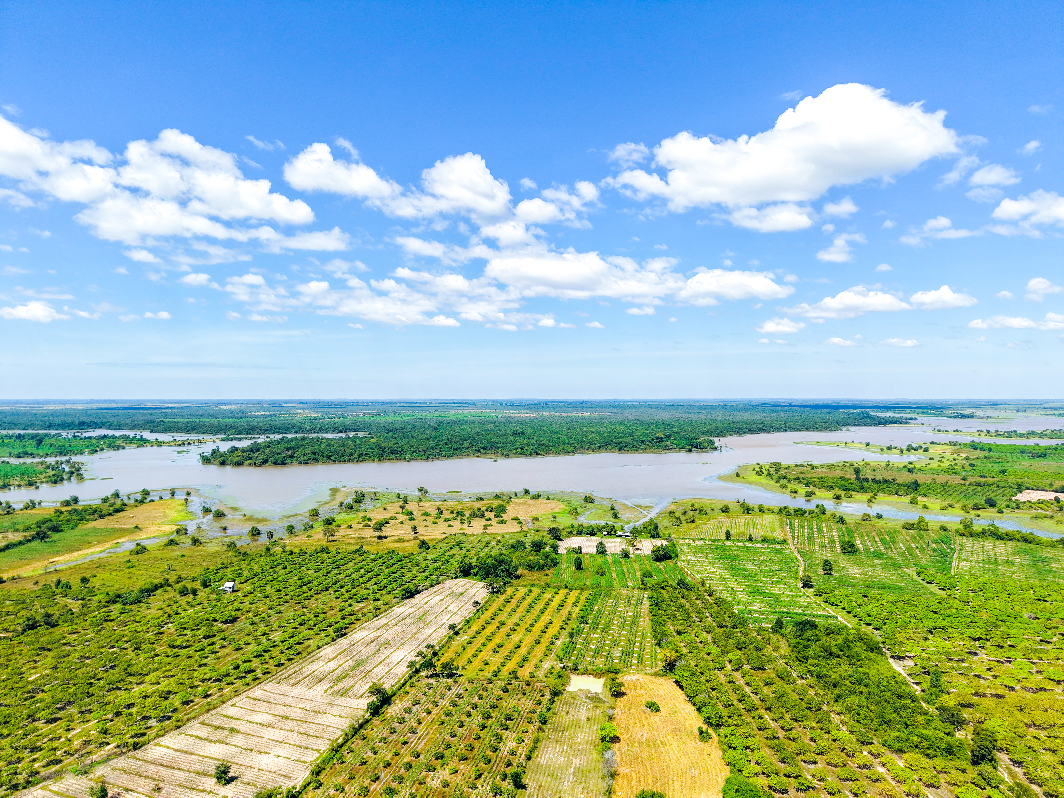 climate resilience ecosystem restoration — Photo by Sambok pen on Pexels