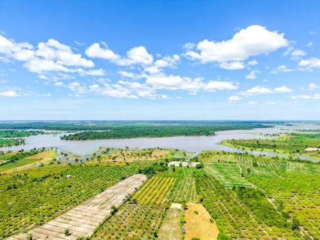 Stunning aerial landscape of lush rice fields and river in Cambodia under a bright blue sky.