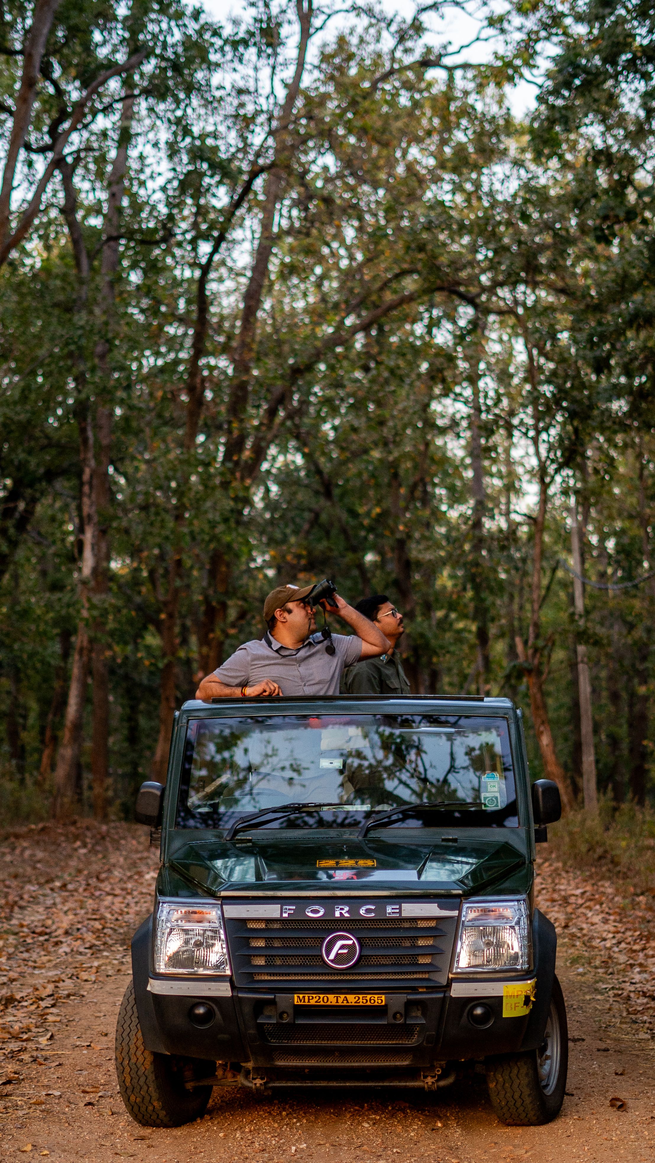 Two men enjoying a safari adventure in an Indian forest, exploring nature and wildlife.
