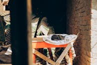 Serene Cat Resting on Red Table in Sunlit Room