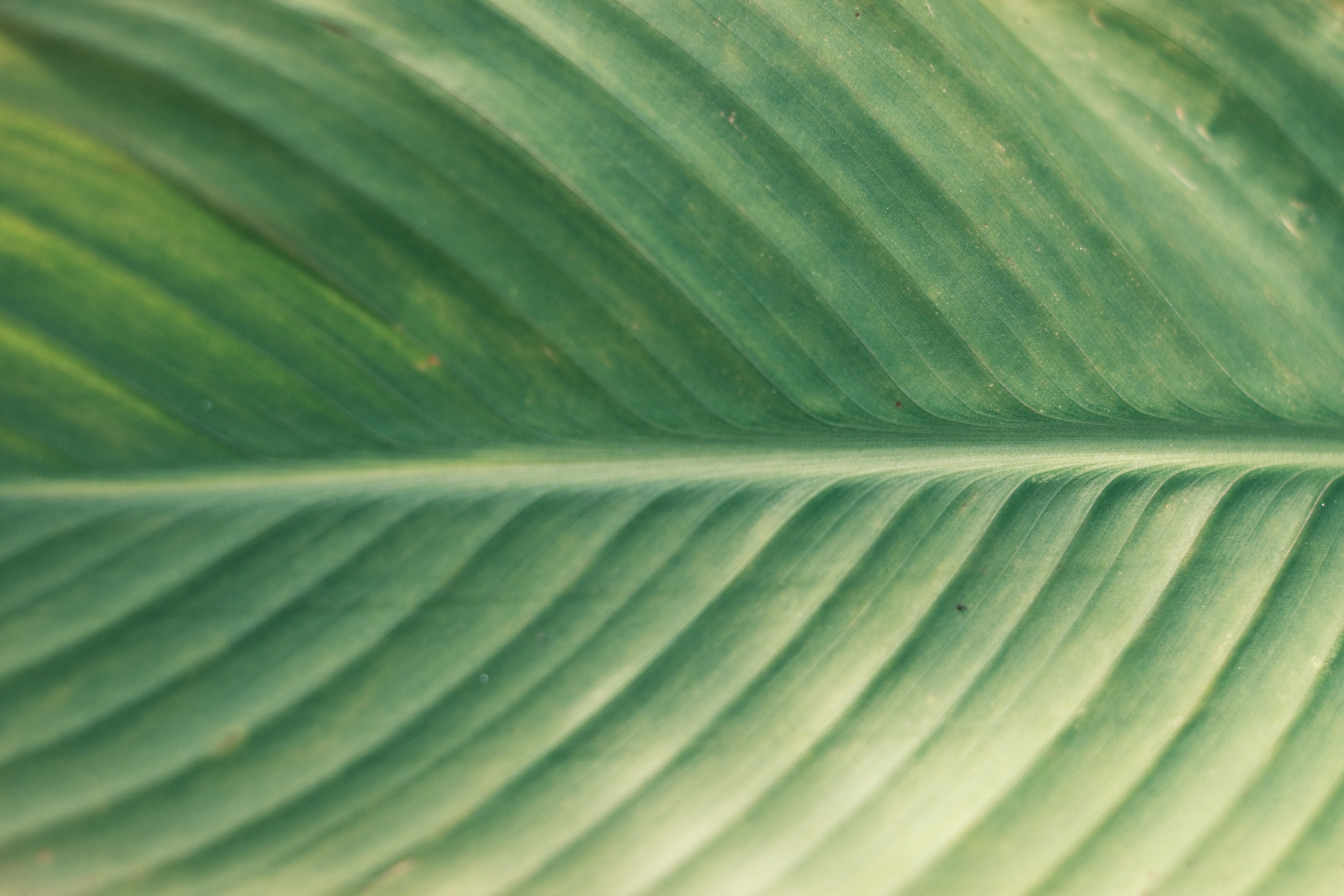 Photo by Mehmet Demiral on pexels