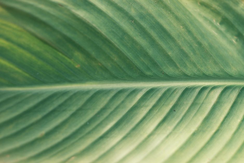 Photo by Mehmet Demiral on pexels