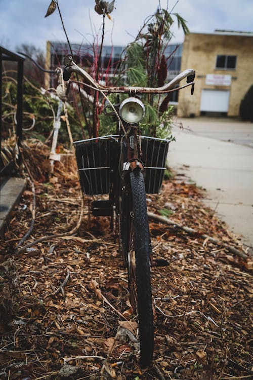 Free stock photo of antique, bicycle