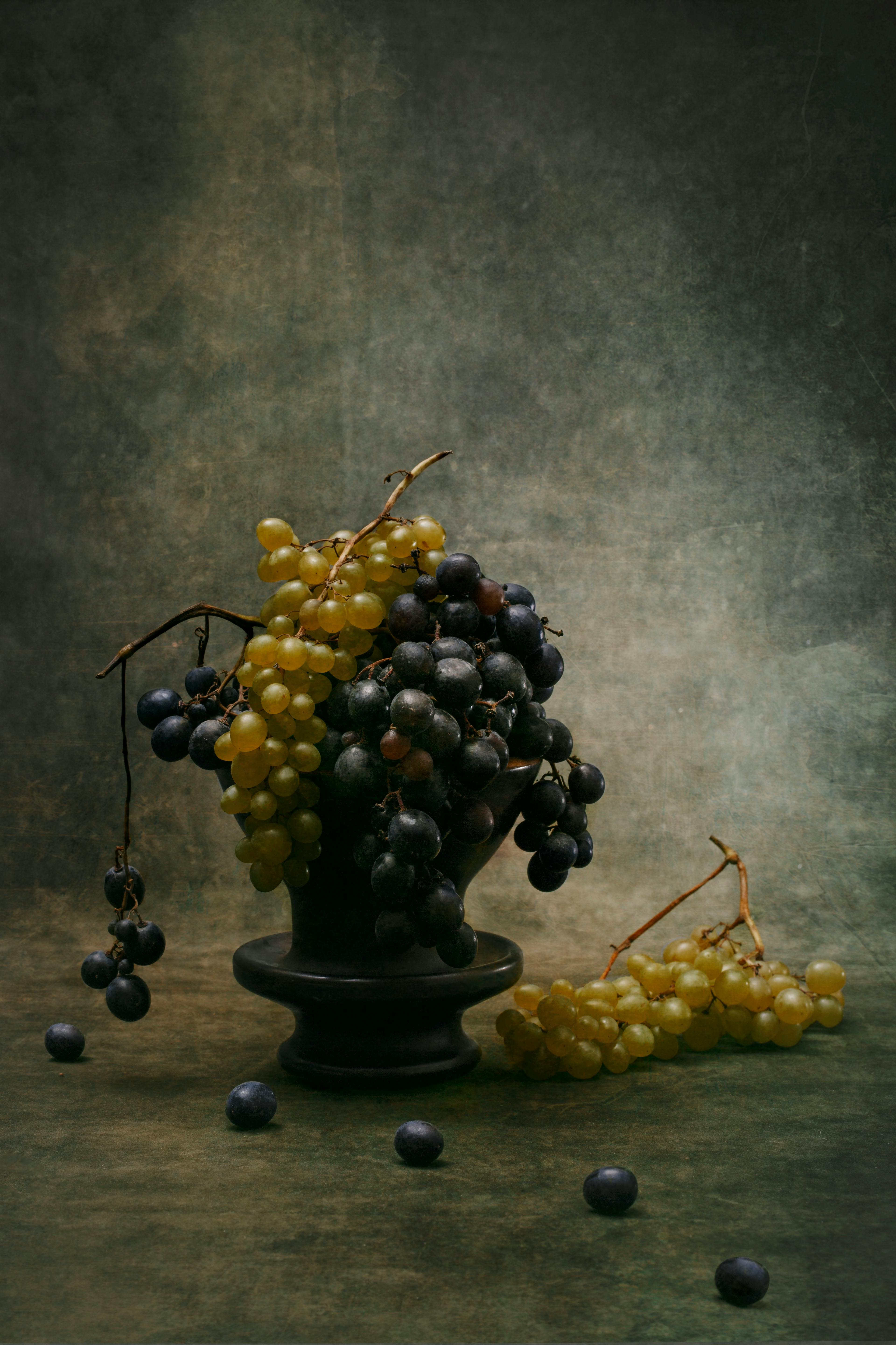 Artistic still life featuring green and red grapes arranged in a classic dark vase.