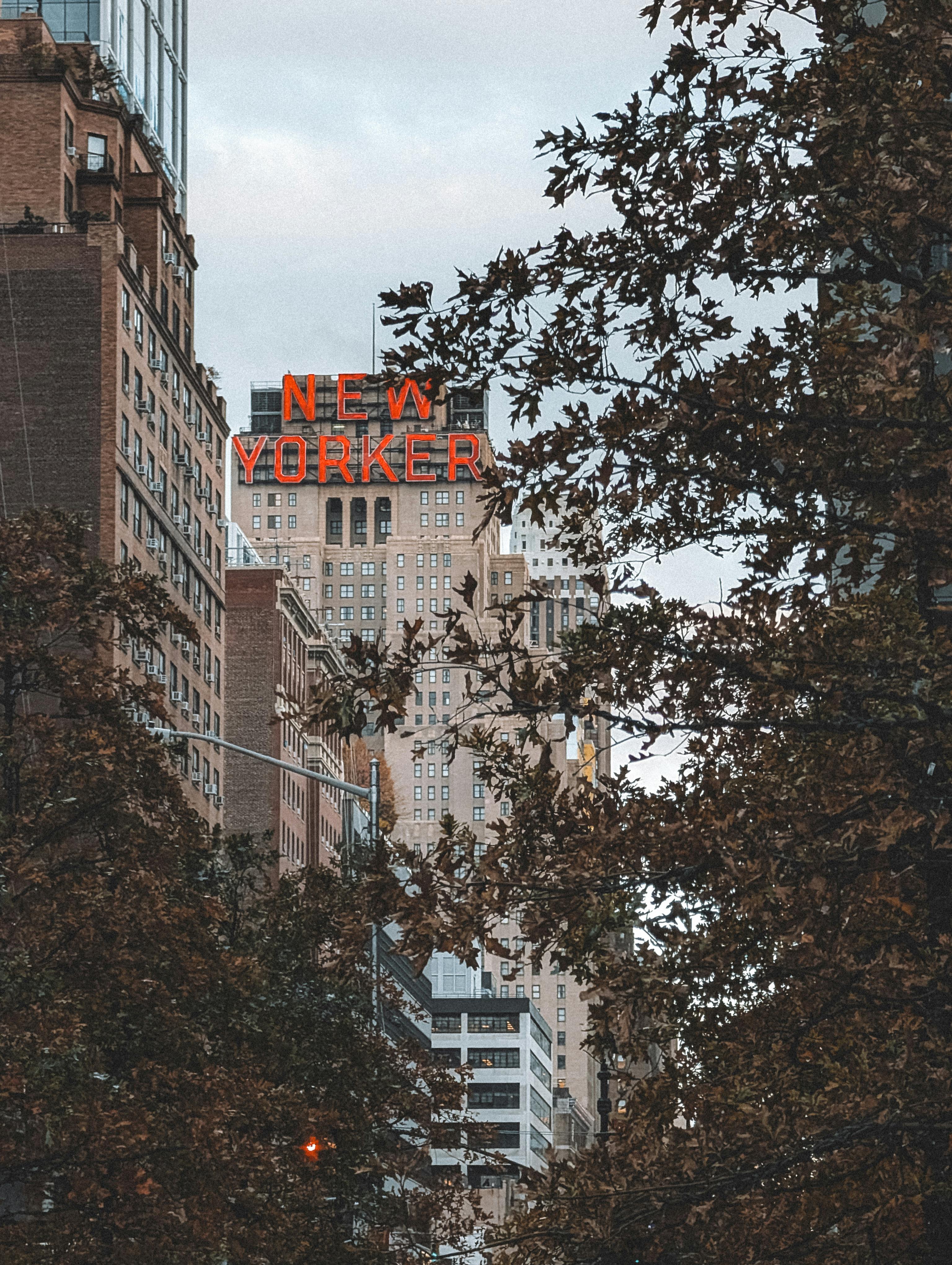 Savannah Guthrie sa vracia do New Yorku. Pátranie po jej 84-ročnej matke pokračuje a USA riešia krízu nezvestných