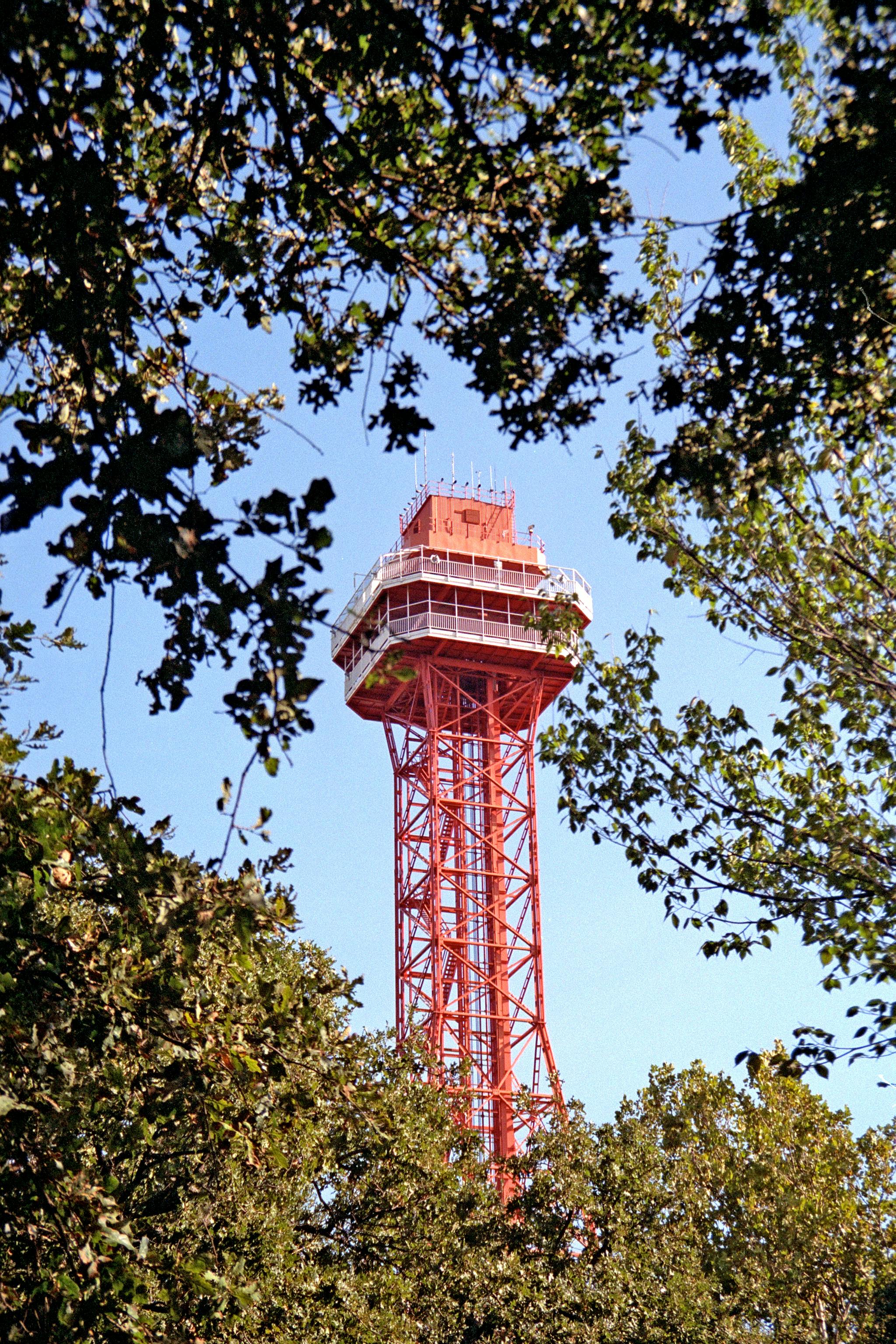 Observation tower nestled among trees at an amusement park in Arlington, Texas.