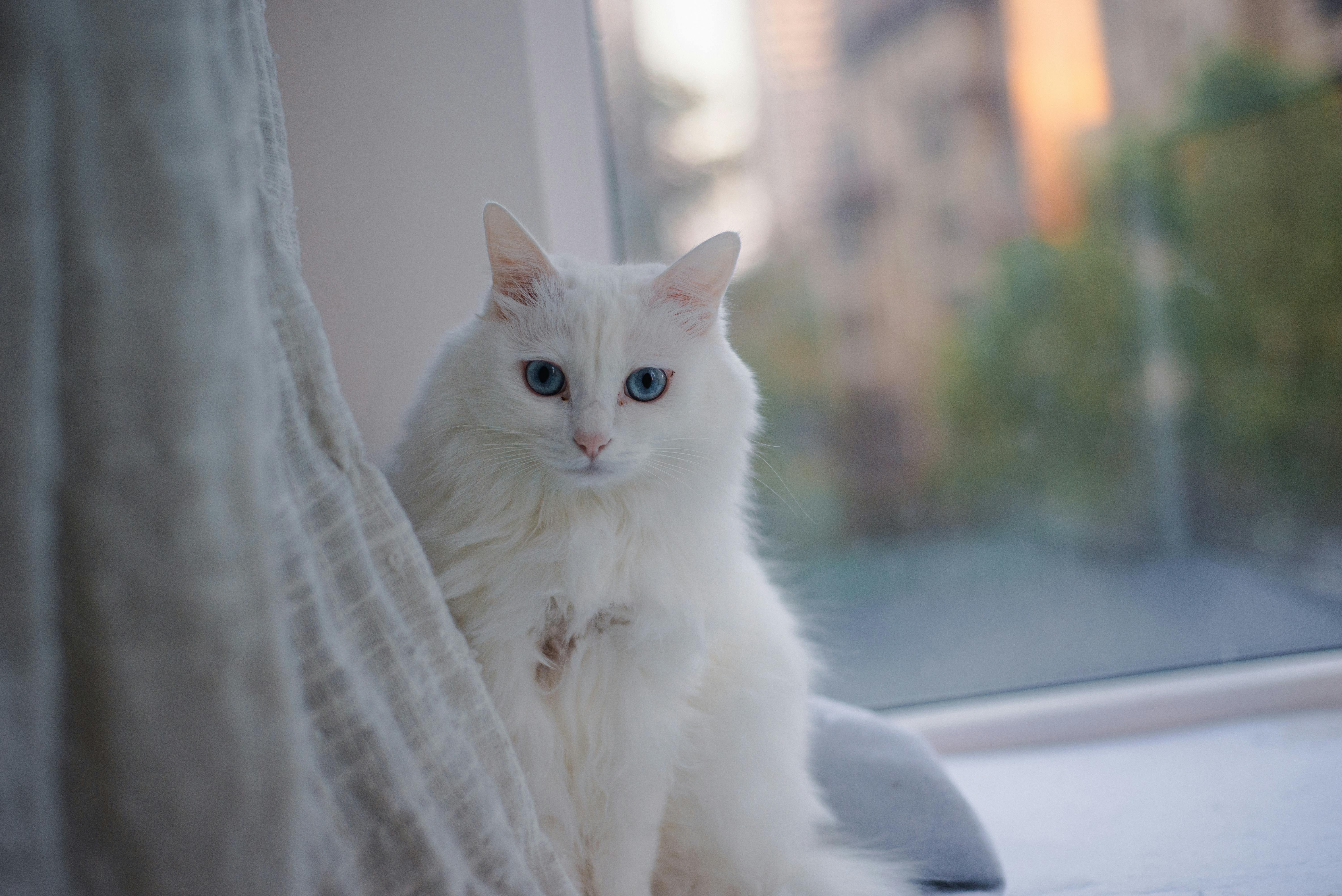 Sustainable Lifestyle Tips: How to Reduce, Reuse, and Recycle Effectively