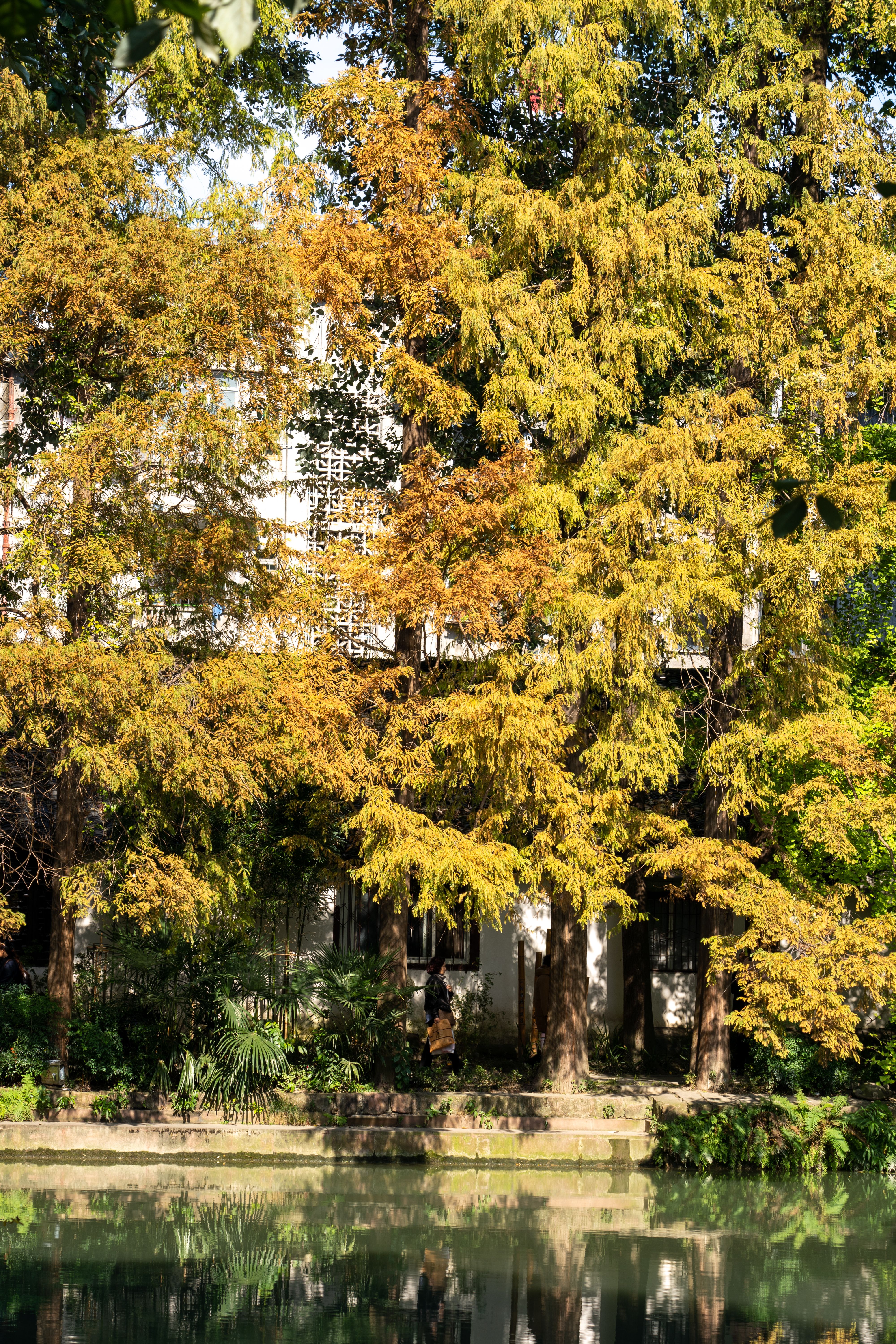 Serene Autumn Landscape with Reflective Water · Free Stock Photo