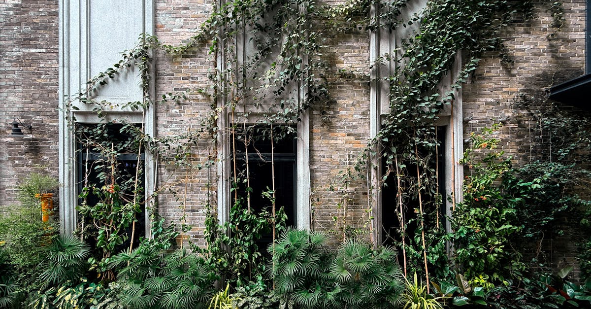 蕭美琴訪竹北 深化生活美學融入市場發展