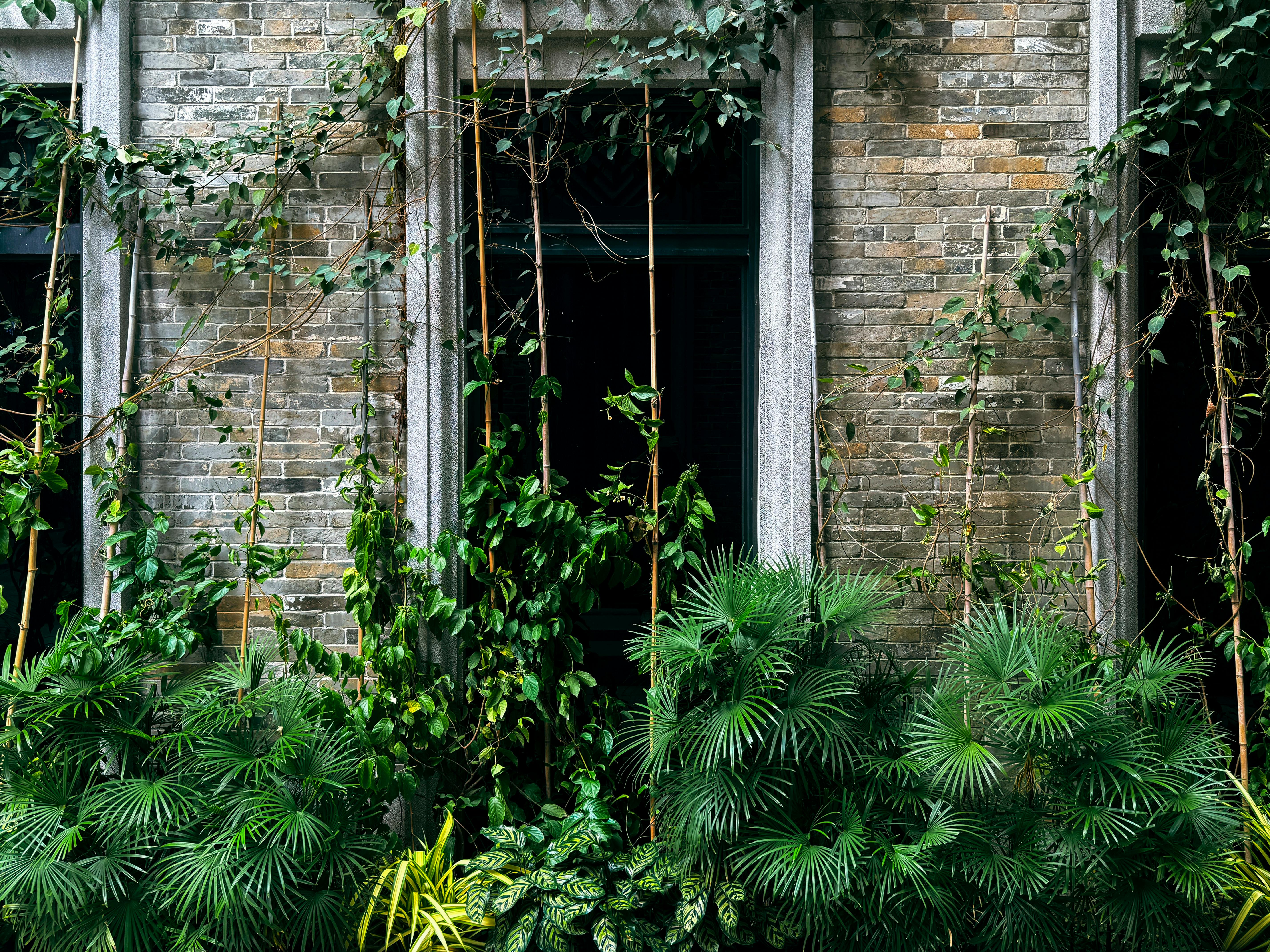 Urban Gardening Tips: Transform Your City Space into a Green Oasis