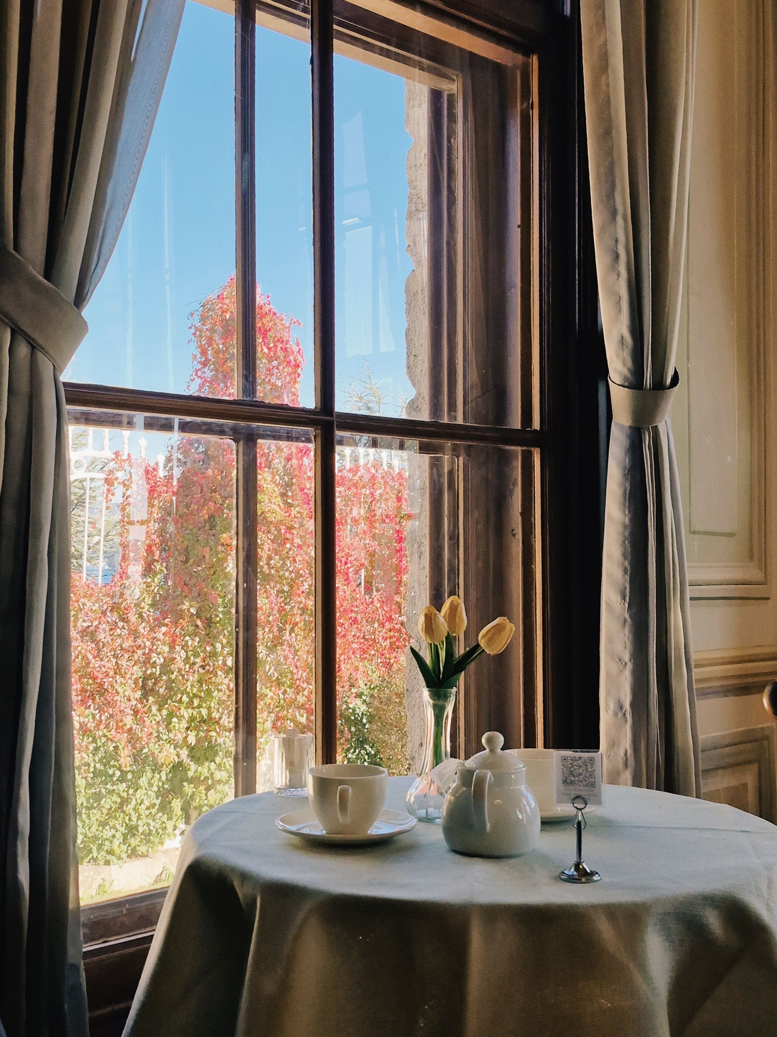 Cozy Café Corner with a Scenic Window View · Free Stock Photo