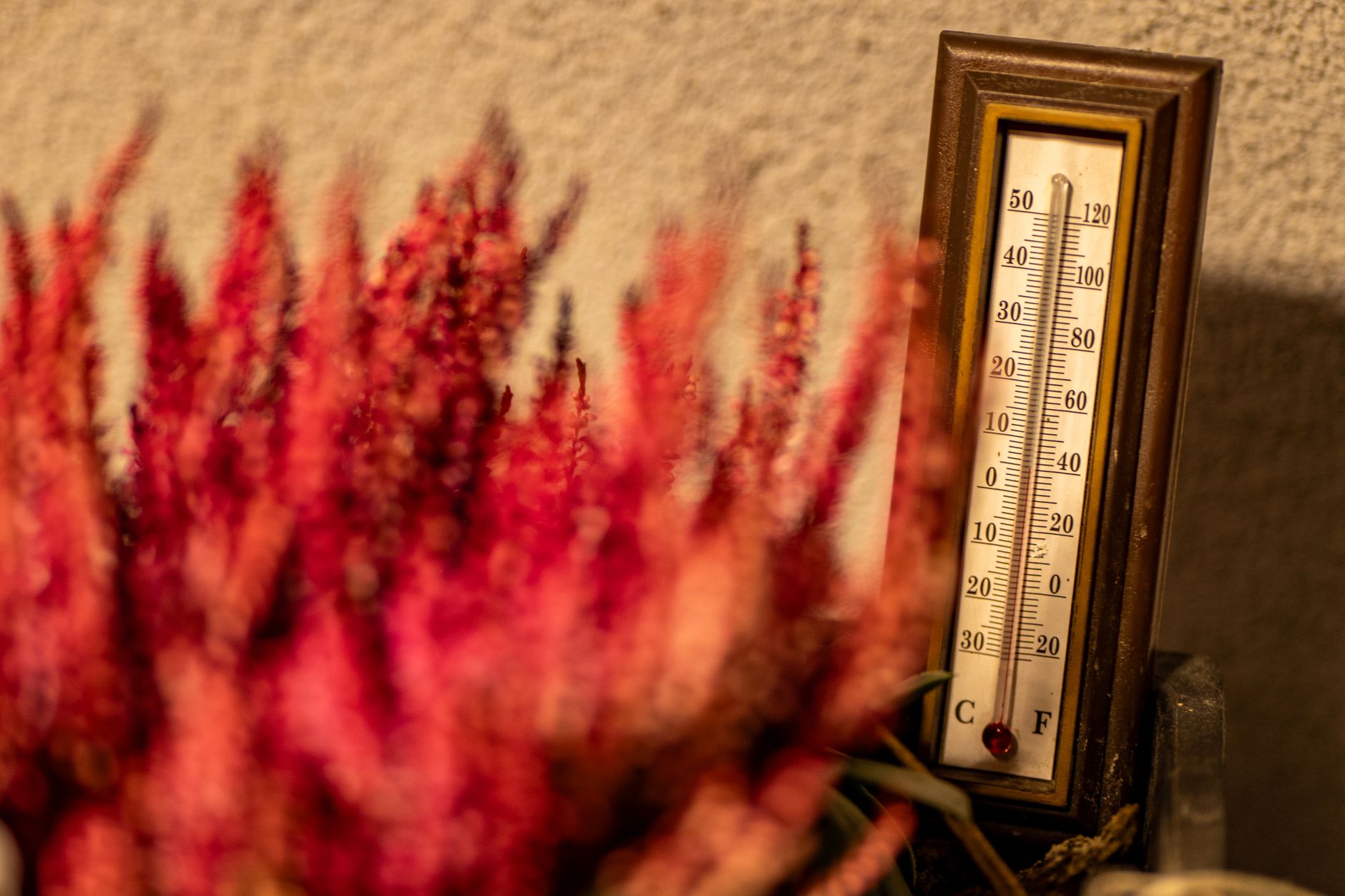 UK autumn garden thermometer showing cool temperatures