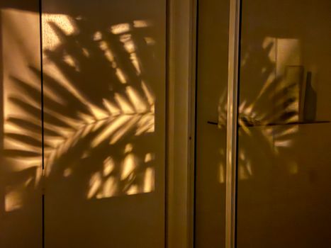Intriguing palm leaf shadows cast on a wall, creating a warm, abstract aesthetic.