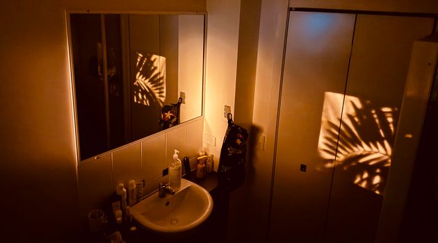 A warm bathroom scene with sunlight casting palm shadows on the wall.