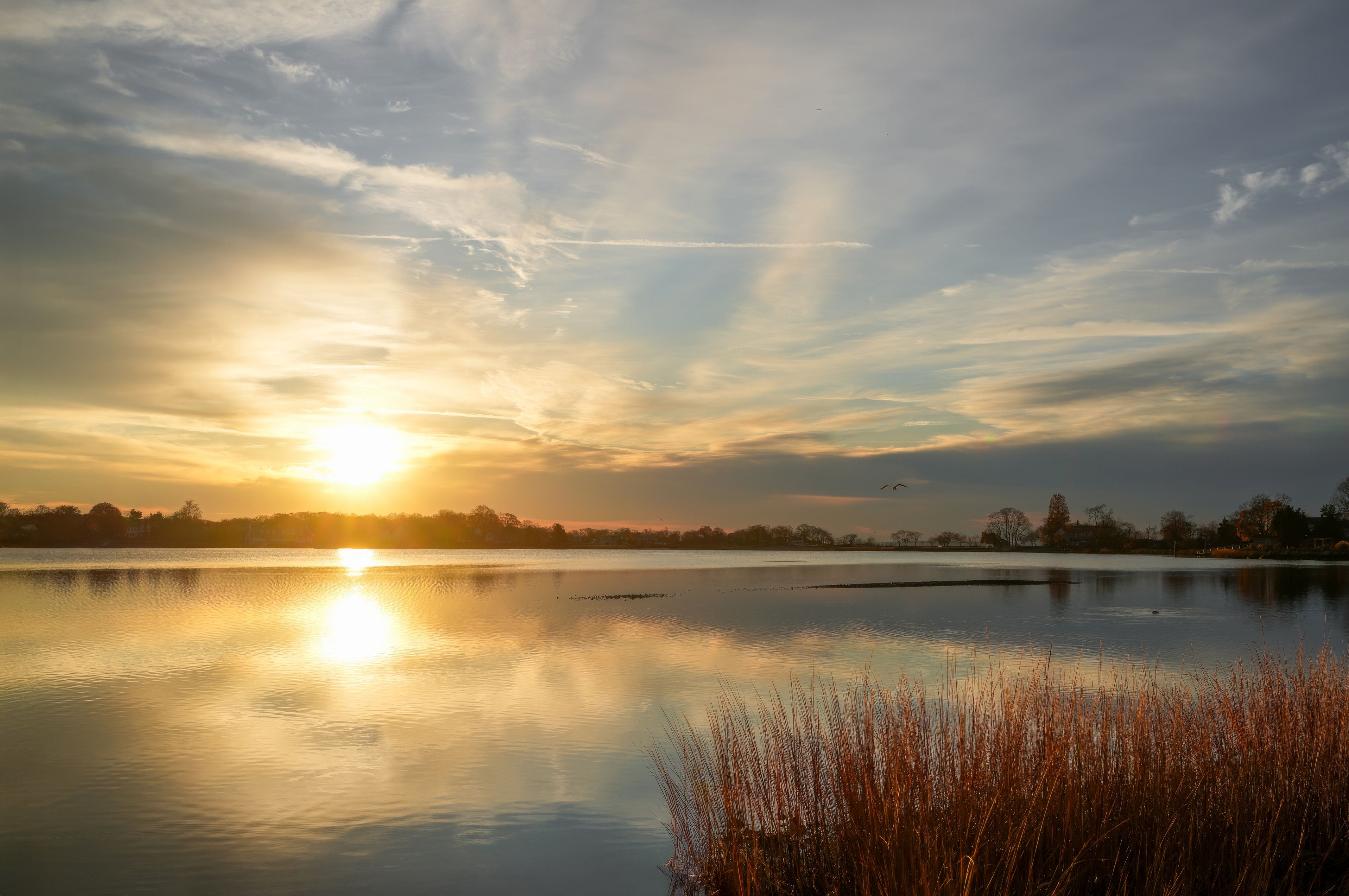 Golden Sunset Over Serene Lake Landscape · Free Stock Photo
