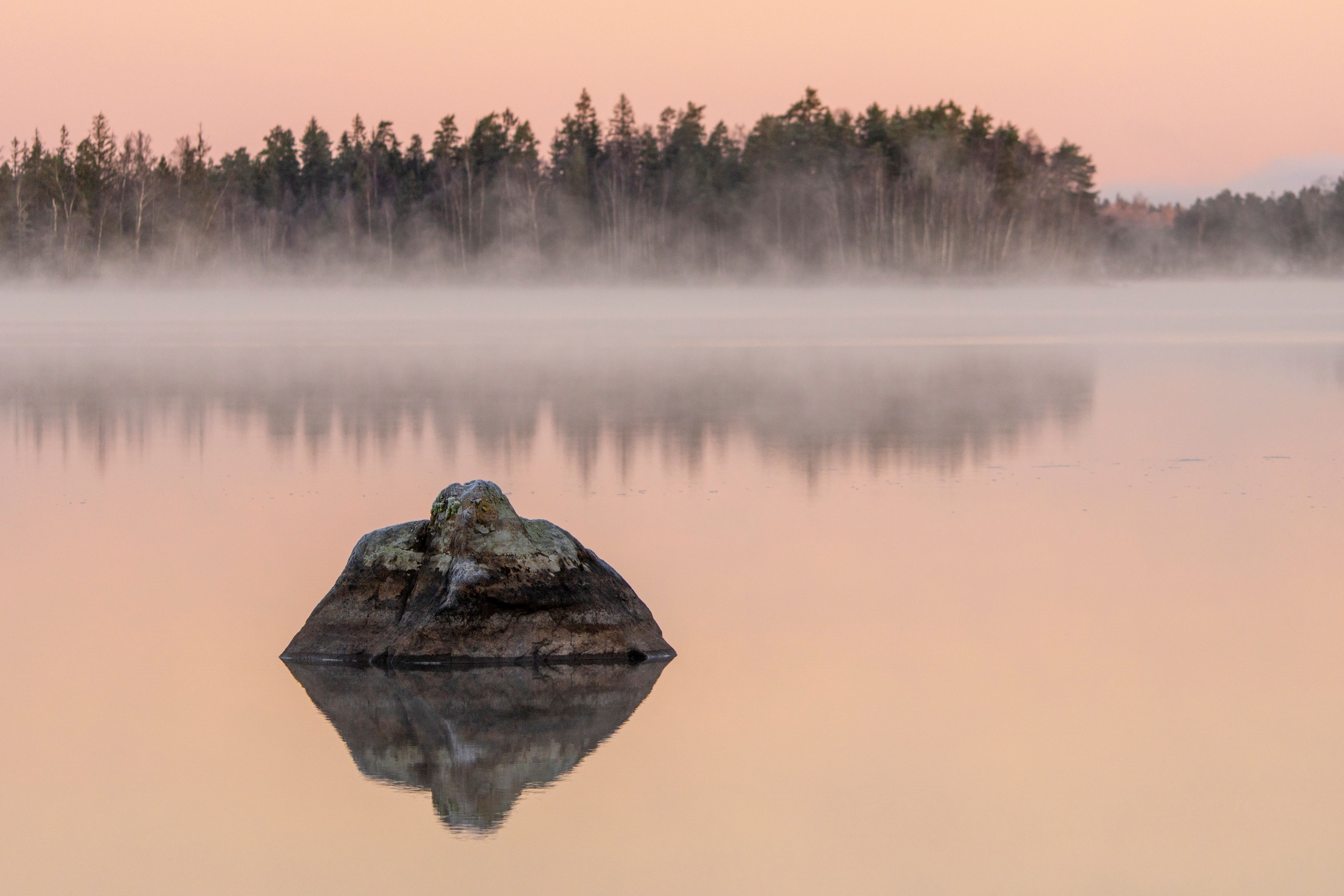Serene Lake at Sunrise with Misty Reflection · Free Stock Photo