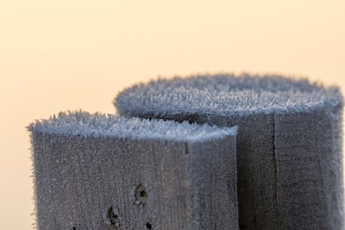 Free Detailed close-up of icy frost on wooden posts against a soft sunrise backdrop. Stock Photo