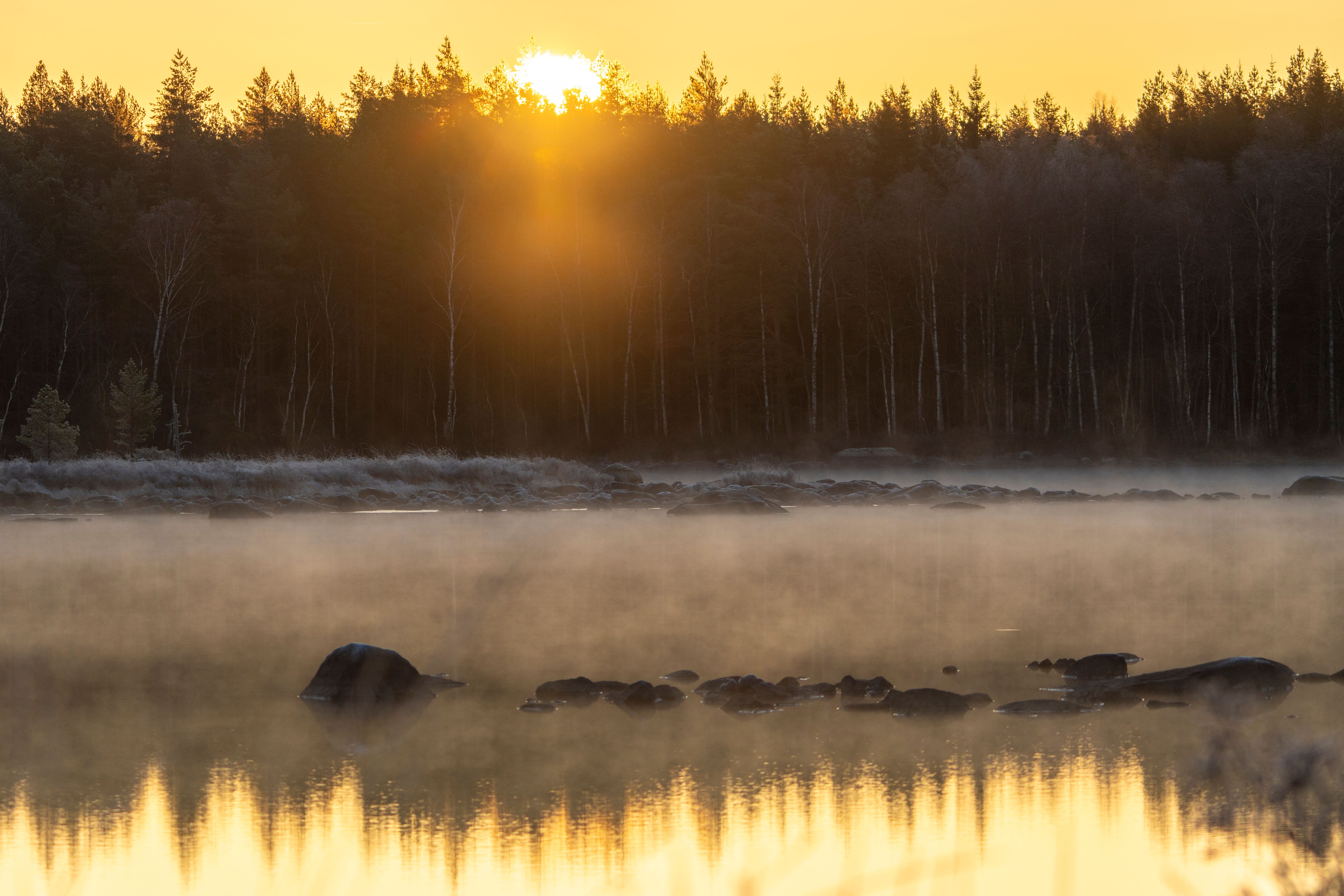 Sunrise casting golden light over misty lake and forest backdrop.