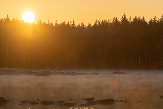 Serene sunrise over a mist-covered lake with a lush forest in the background.