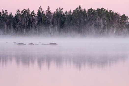 Tranquil forest reflection in misty lake at pink sunrise, offering a serene natural landscape.