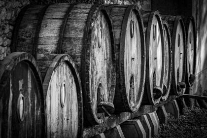 A row of aged casks in a cool cellar — photo by Toni Seyfert on Pexels