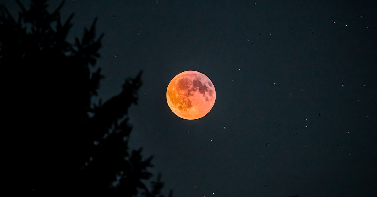 公益心與環保情結合 國際扶輪3501新竹區熱血捐1360袋