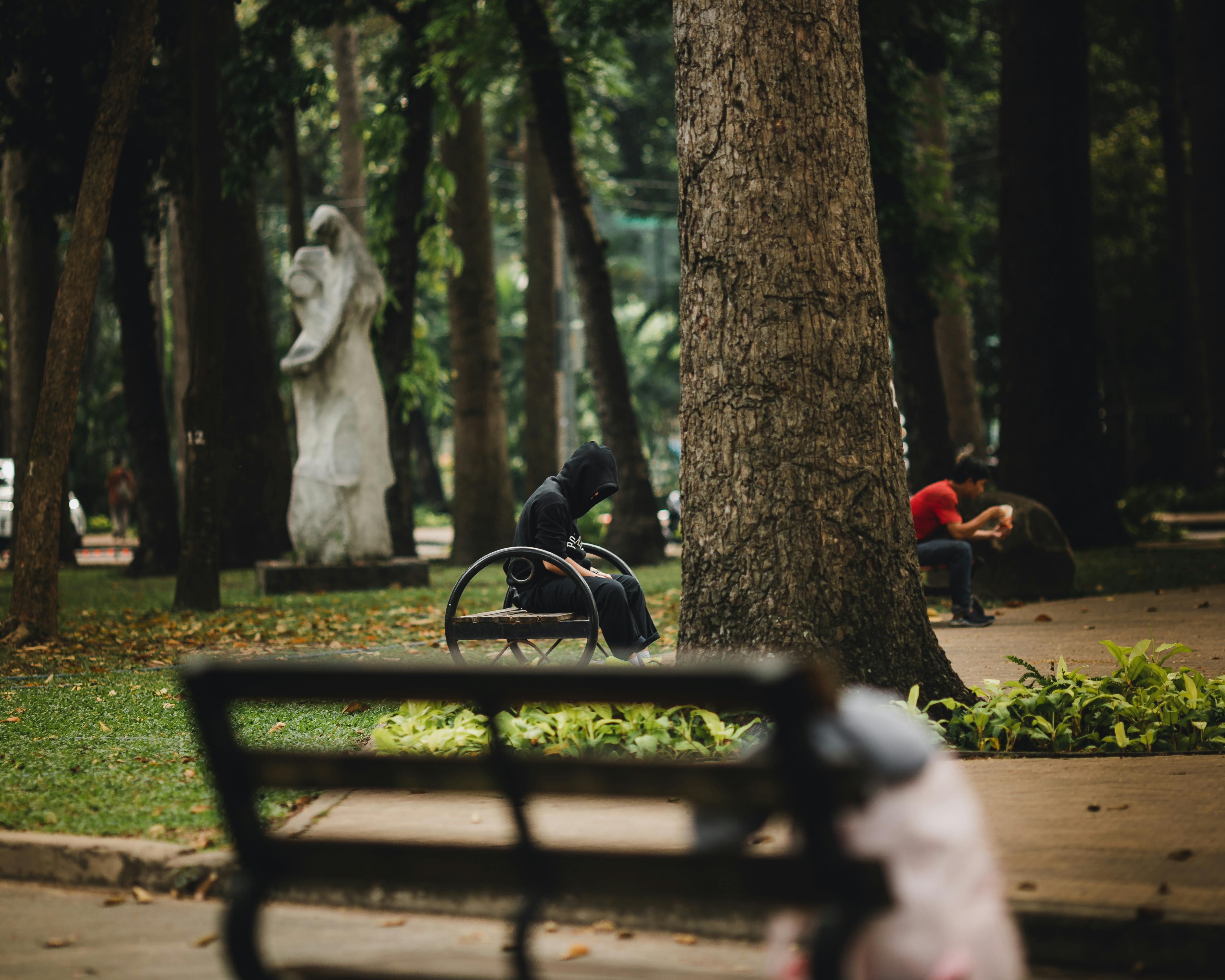 Kostnadsfria Lugn parkmiljö i Ho Chi Minh-staden med avkopplande människor och frodig grönska. Stock foto