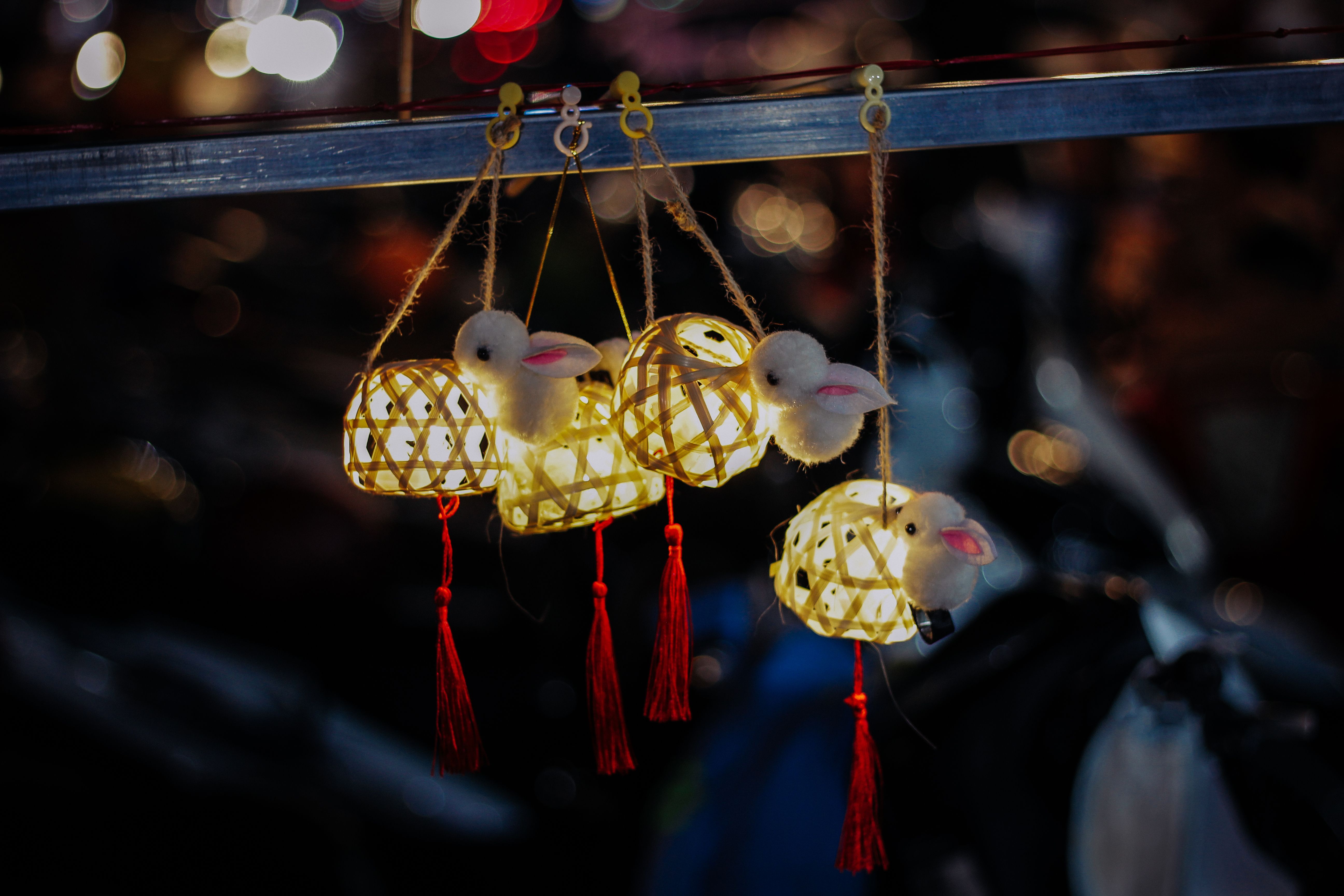 Traditional Lanterns with Rabbit Design at Night · Free Stock Photo