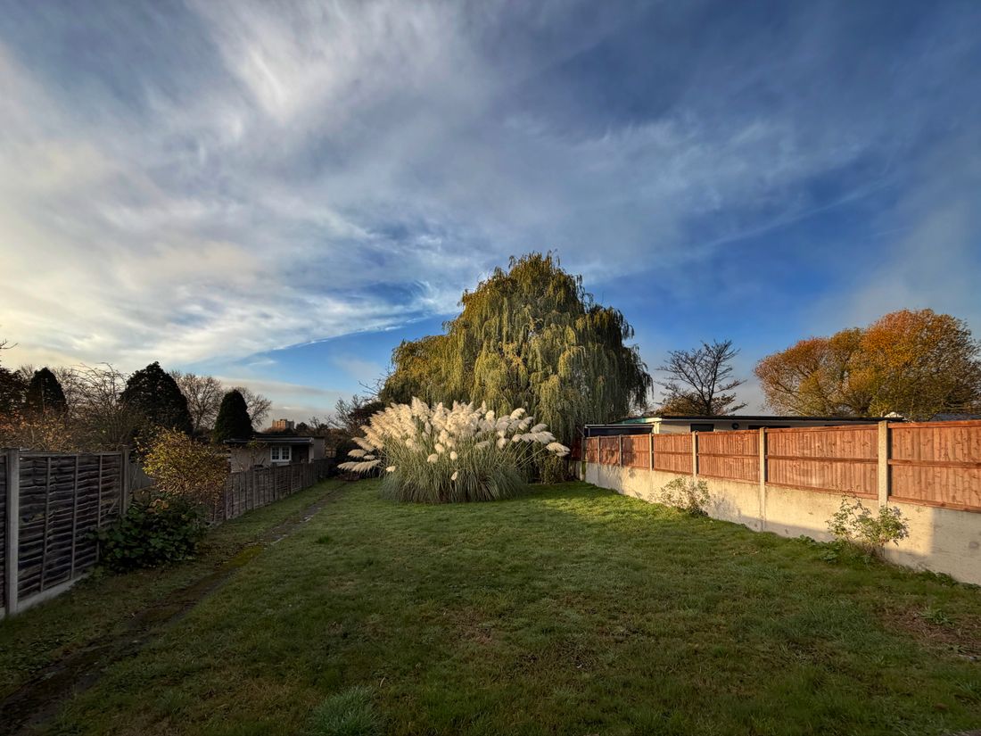 Before — Unused lawn → luxury pool garden