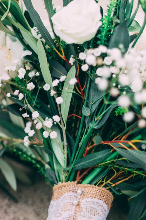 無料 緑の葉と白い花 写真素材