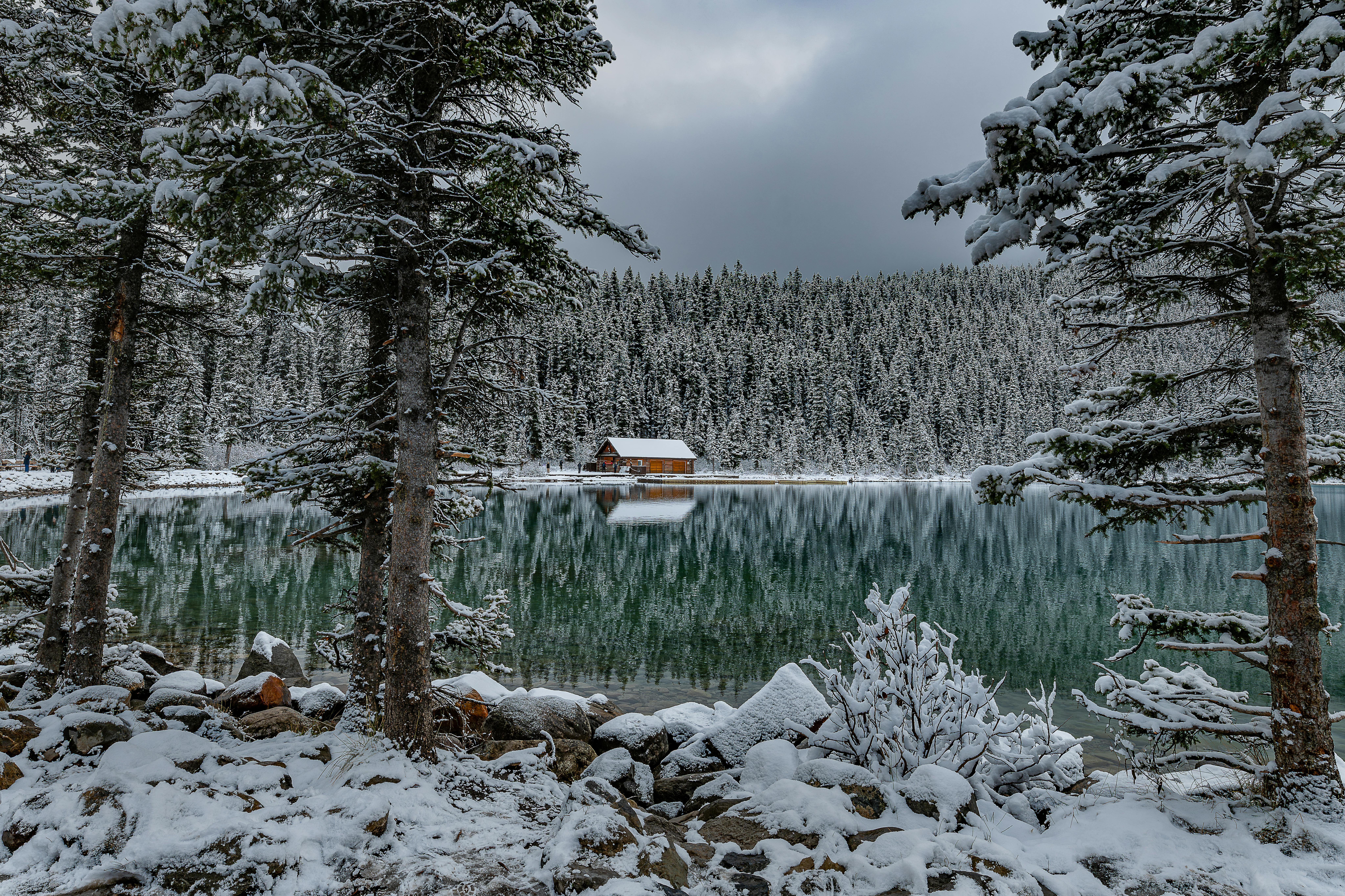 跨文化團隊管理實務：從國際小組到山林巨木探勘的合作經驗