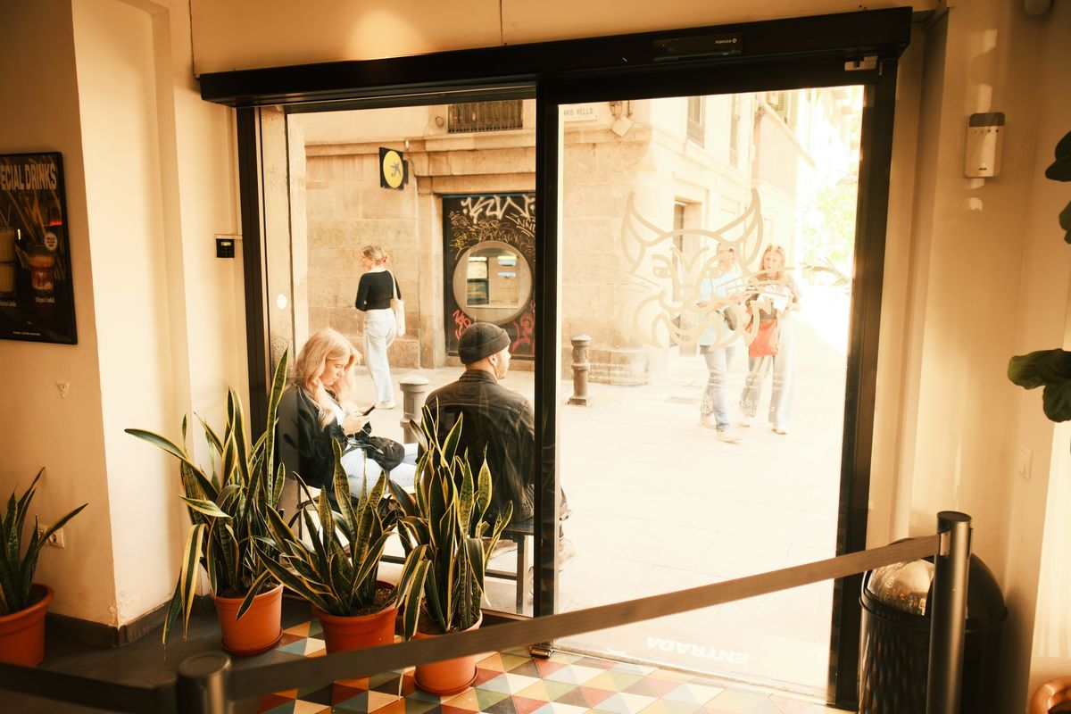 Interior de cafenea cu plante si vedere spre strada, in Barcelona