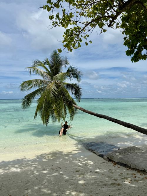 Free Relaxing tropical scene in Maldives with beach, palm tree, and turquoise water. Stock Photo