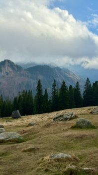 Serene mountain view with pine forest and cloudy sky, ideal for nature lovers.