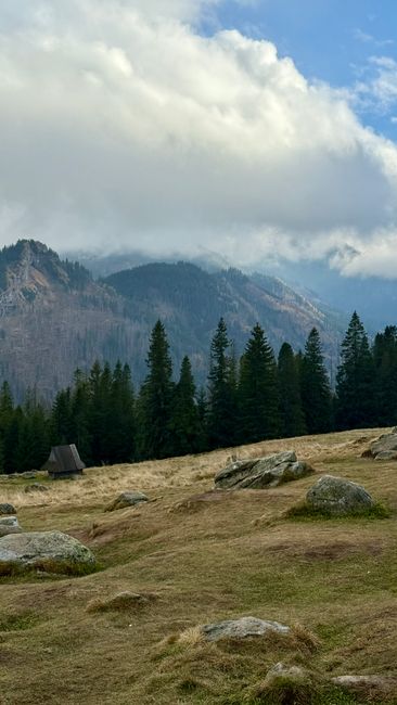 Serene mountain view with pine forest and cloudy sky, ideal for nature lovers.
