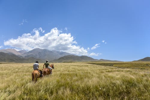 Men Riding on Horses