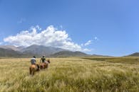 两人骑马穿过门多萨风景如画的草原，天空湛蓝