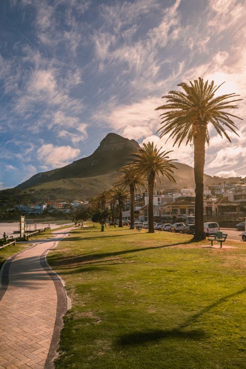 Free Stunning coastal scene with palm trees, mountain backdrop at sunset. Stock Photo